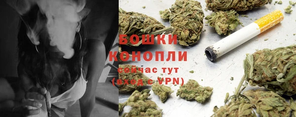 a pvp Новозыбков