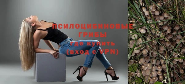 a pvp Новозыбков