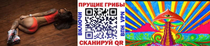 Псилоцибиновые грибы прущие грибы  купить  сайты  Правдинск 