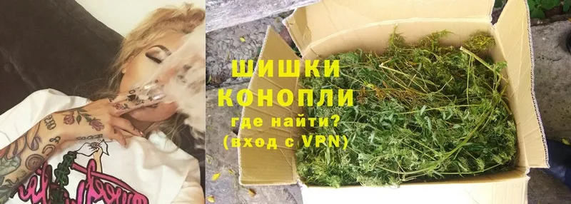 Бошки Шишки THC 21%  Правдинск 